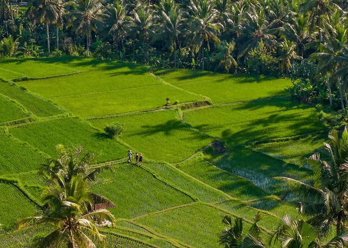 Lodge Edge Of By Genuinehost Ubud