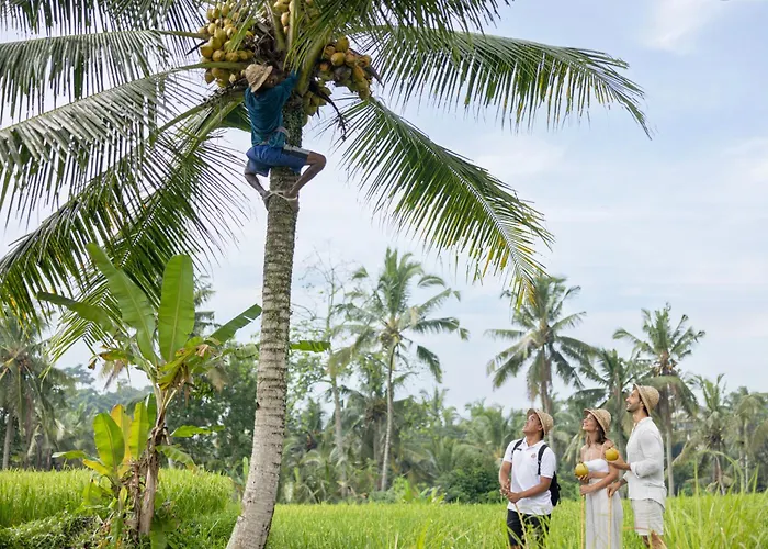 Lodge Edge Of By Genuinehost Ubud